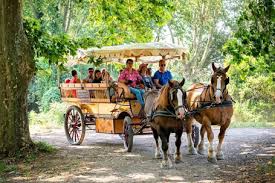 calèche PMR caleche PMR