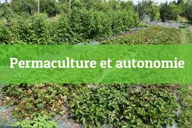 FB_IMG_1665645475305 PANIER