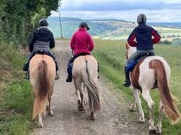 IMG_6765 camping ferme bretagne jeu grandeur nature